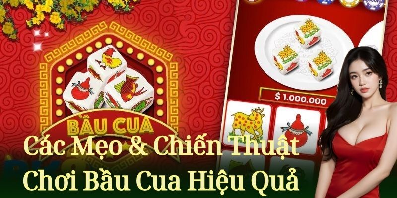 Các mẹo & chiến thuật chơi bầu cua hiệu quả