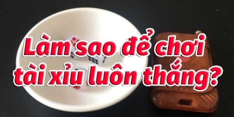 Tại Sao Chơi Tài Xỉu Luôn Thua: Cách Xoay Chuyển Tình Thế