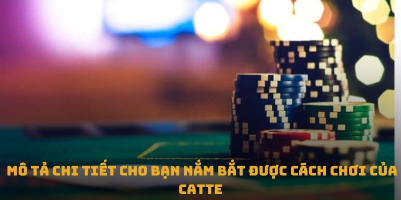 Tổng quan mẹo chơi catte thắng trắng