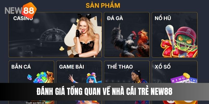 Đánh giá tổng quan về nhà cái trẻ NEW88